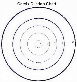 cervical dilation chart | BabyCenter