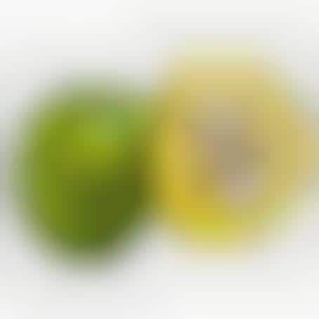 Culinary Cross-Sections: Andrew Trahan's 'Good Eats' Turns Snacks Into ...