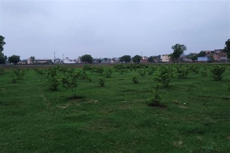 New Delhi YMCA - Rural Development Centre, Hodal, Haryana