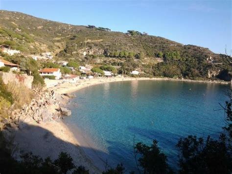 HOTEL RUSTICHELLO (Marina di Campo, Elba Island) - Hotel Reviews ...