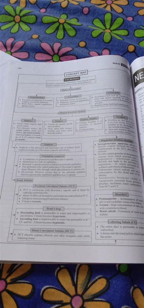 Buy Complete NEET Guide Biology (Old Edition) MTG Editorial Board MTG ...