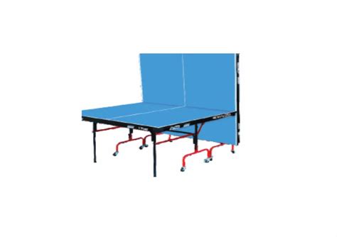 Table Tennis Table - Table Tennis Table Star Manufacturer from Meerut