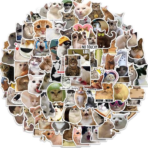 MTROYALDIA 100 Pieces Cat Meme Stickers,Funny Cat Stickers for Kids ...
