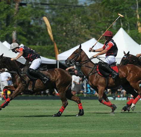 NATIONAL POLO CENTER (2026) All You Need to Know BEFORE You Go (with ...