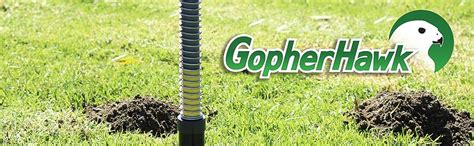 Image result for Gopherhawk Snake Probe