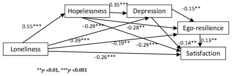 The Loneliness–Life Satisfaction Relationship: The Parallel and Serial ...