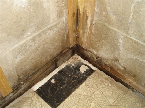 Seal Gap Between Basement Floor And Wall – Flooring Tips