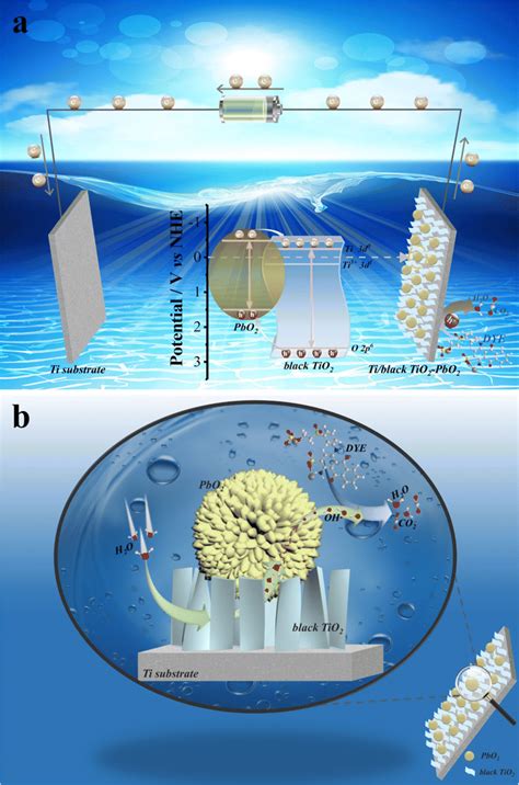 Image result for PbO2 Electrode