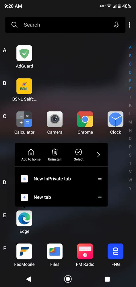 Image result for Edge Inprivate Android Icon