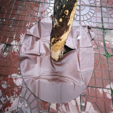 Image result for Drip Irrigation Tree Ring