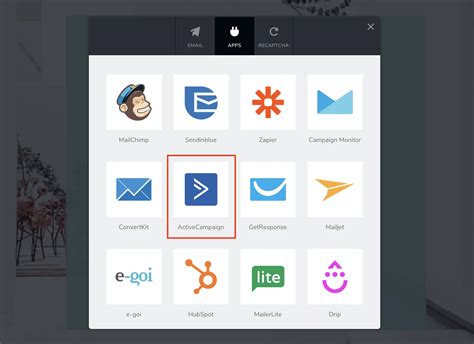 Active Campaign API 的图像结果