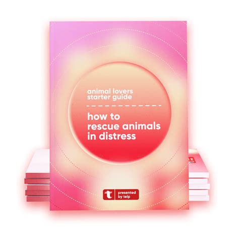 TELP OFFICIAL WEBSITE | Help For The Tails