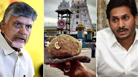 తిరుపతి కల్తీ నెయ్యి ఇష్యూలో షాకింగ్‌.. అరెస్టులు, ఉత్కంఠ.. అన్ని ...