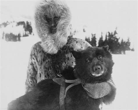 100 Years Later: Remembering the incredible sled dogs and mushers of ...