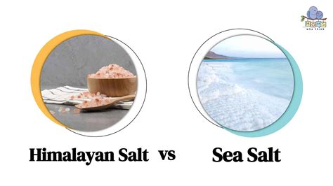 Iodized Salt vs Salt: Key Differences