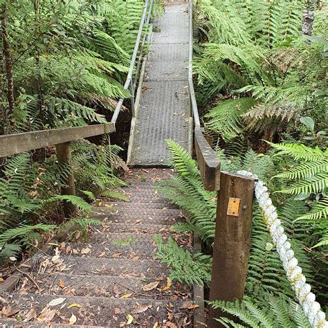 LEVEN CANYON LOOKOUT TRACK (2026) All You Need to Know BEFORE You Go ...