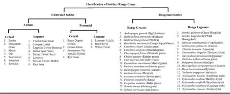 Image result for Fodder Flow