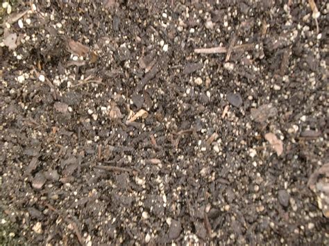 Compost/Soil 的图像结果