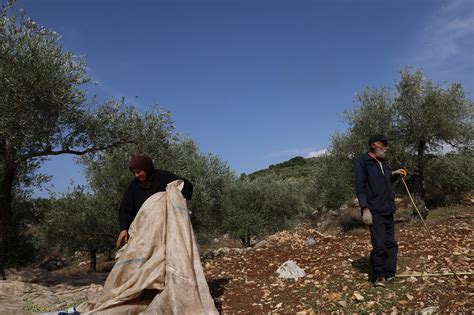 Agriculture Sector Takes Heavy Blow, Losses in Millions - Nowlebanon