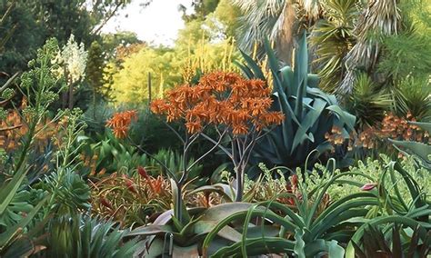 Ruth Bancroft Garden, walnut, United States Of America - Top ...