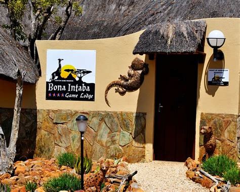 BONA INTABA GAME LODGE (Hoedspruit) - Cottage Reviews & Photos ...