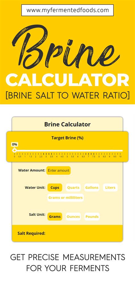 Ratio Of Salt To Cabbage For Sauerkraut – Recipes Lord