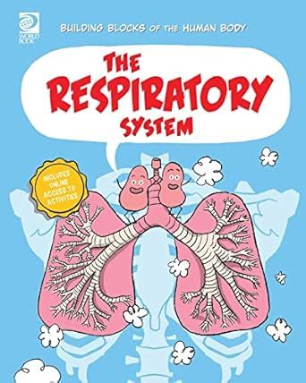 The Respiratory System (Building Blocks of the Human Body) : Midthun ...