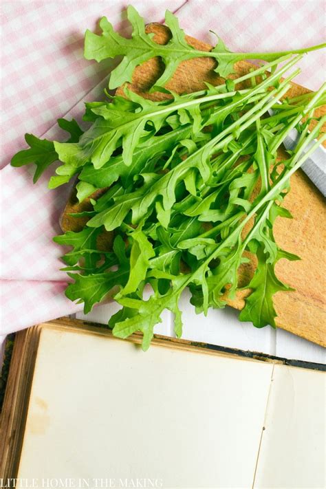 The BEST Arugula Companion Plants - Little Home in the Making