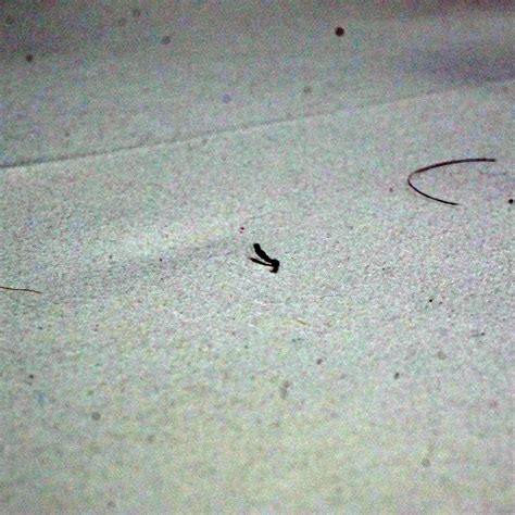 LAI MING HOTEL COSMOLAND (Singapore) - Hotel Reviews, Photos, Rate ...