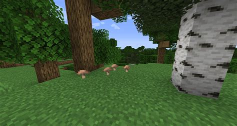Image result for Create Mod Mushroom Tree Farm Minecraft
