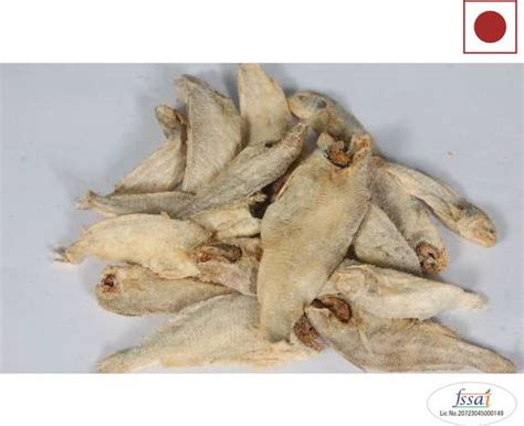 Seafood - Buy Seafood Online at Best Prices In India | Flipkart.com