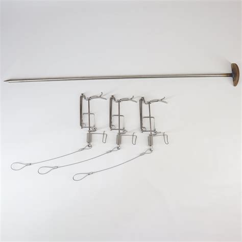 Image result for Gopher Probe