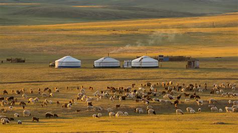 The magic of Mongolia - Steppes Travel