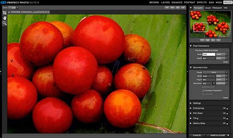 OnOne Perfect 8 1 Suite Tutorials 的图像结果