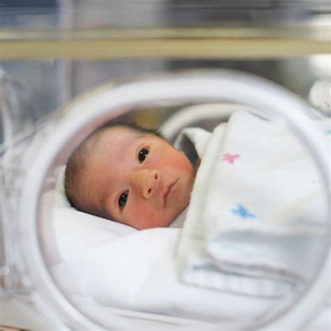 Implication of the Novel Sildenafil Citrate Therapy on Fetal Growth ...