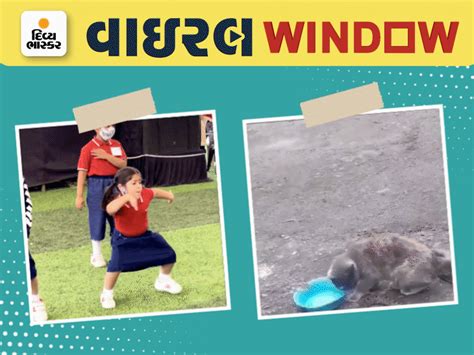 'Pushpa' fever now seen in animals, chimpanzee copies Allu Arjun's ...