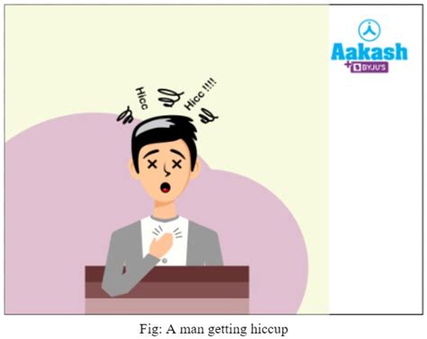 Diaphragm: Meaning, Function & Structure | AESL