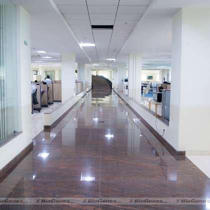 BioGenex Office Photos | Glassdoor