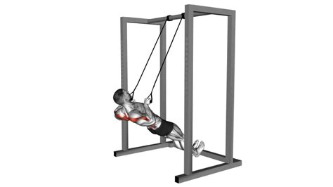 Image result for Inverted Row Workout