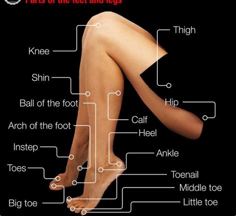 Pies En Ingles In at Mark Cox blog