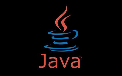 Image result for Java