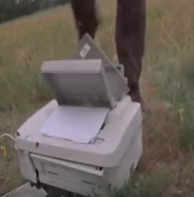 Office Space Copy Machine 的图像结果
