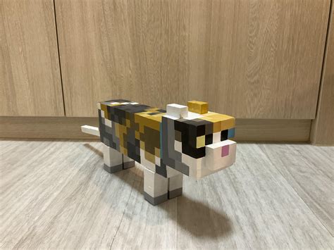 How To Identify Your Cat Block C Exactly