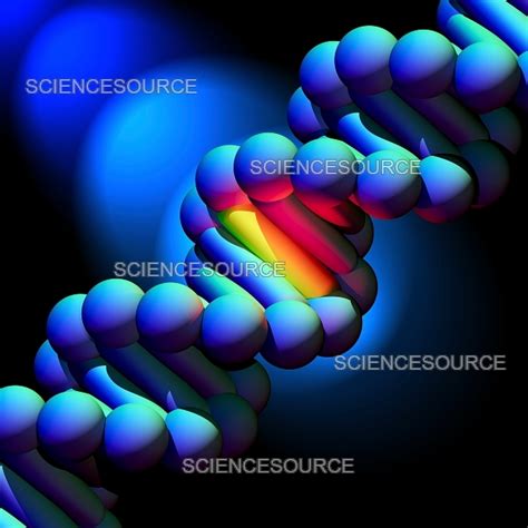 DNA Mutation 的图像结果