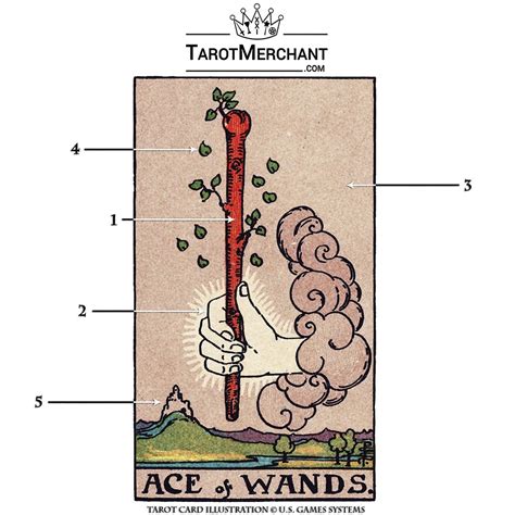 Ace of Wands Tarot Card Meanings with Infographic – PlayingCardDecks.com - ace of wands tarot