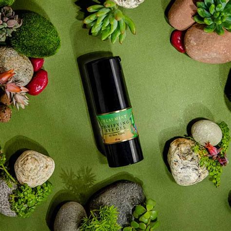 The Ayurveda Experience