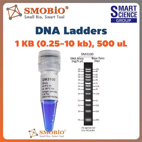 DM3100 ExcelBand DNA Ladder 1KB (0.25-10 kb) 500 uL DNA Marker PCR gel ...