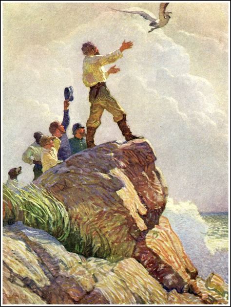N.C. Wyeth Illustration from "The Mysterious Island," by Jules Verne ...