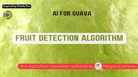 Image result for Guava Fruit Machine Learning Python Project