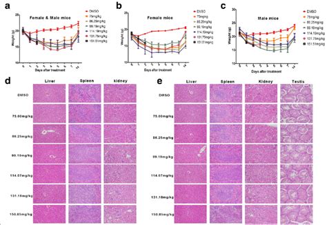 Image result for Intraperitoneal Injection of BALB/c Mice